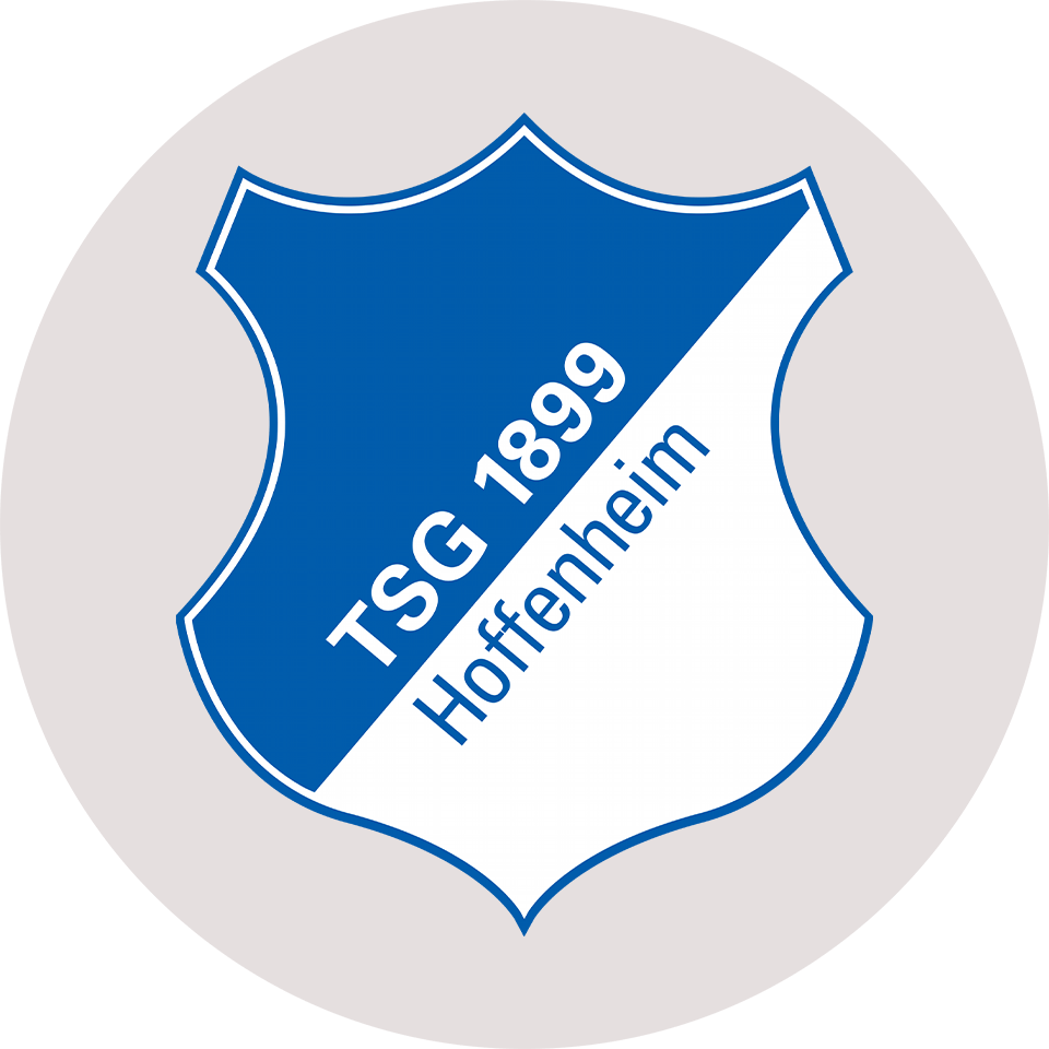 Logo TSG Hoffenheim